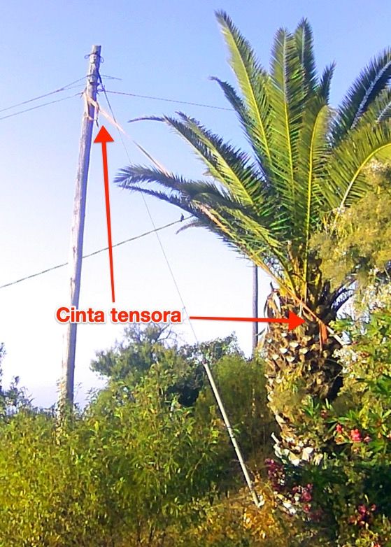 2025-07-03 at 20.22.jpeg