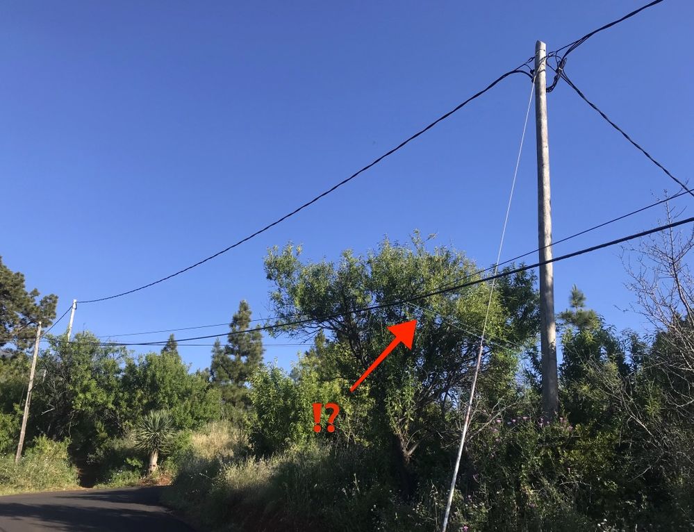 2025-05-29 at 14.20.jpeg