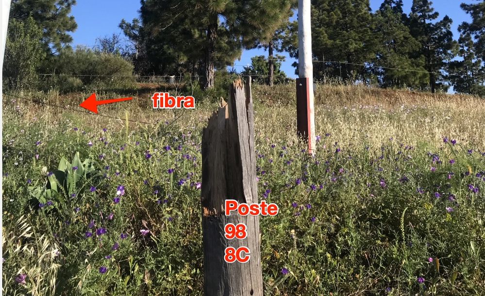 2025-05-29 at 14.18.jpeg