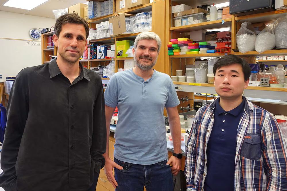 De izquierda a derecha, César de la Fuente, Marcelo Torres y Fangping Wan, integrante del laboratorio biotecnológico que dirige el científico español en la Universidad de Pensilvania. Jenny Bai