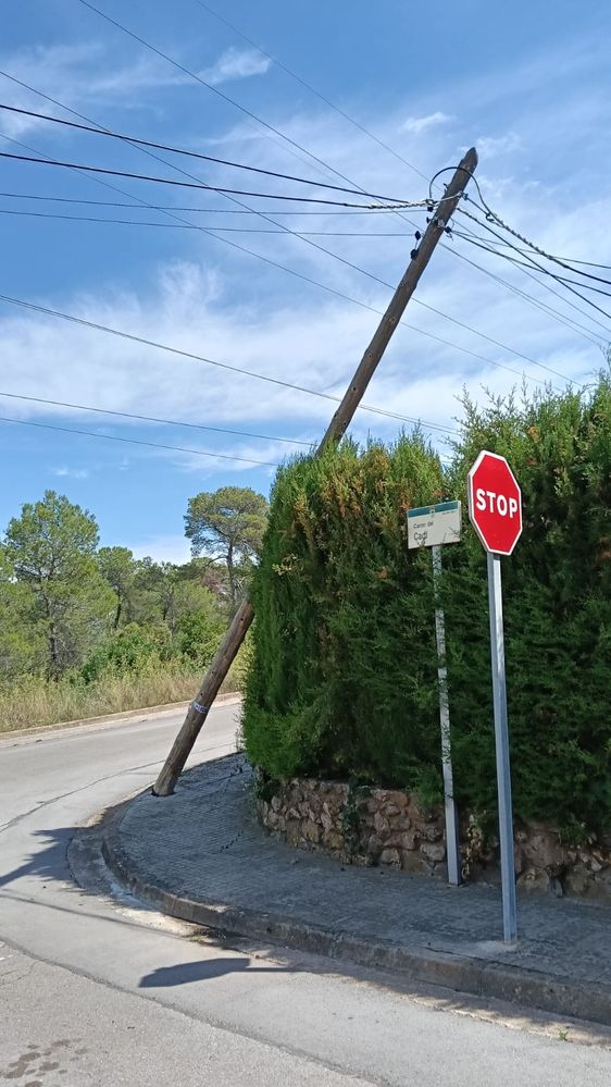 WhatsApp Image 2025-08-29 at 13.03.47.jpeg