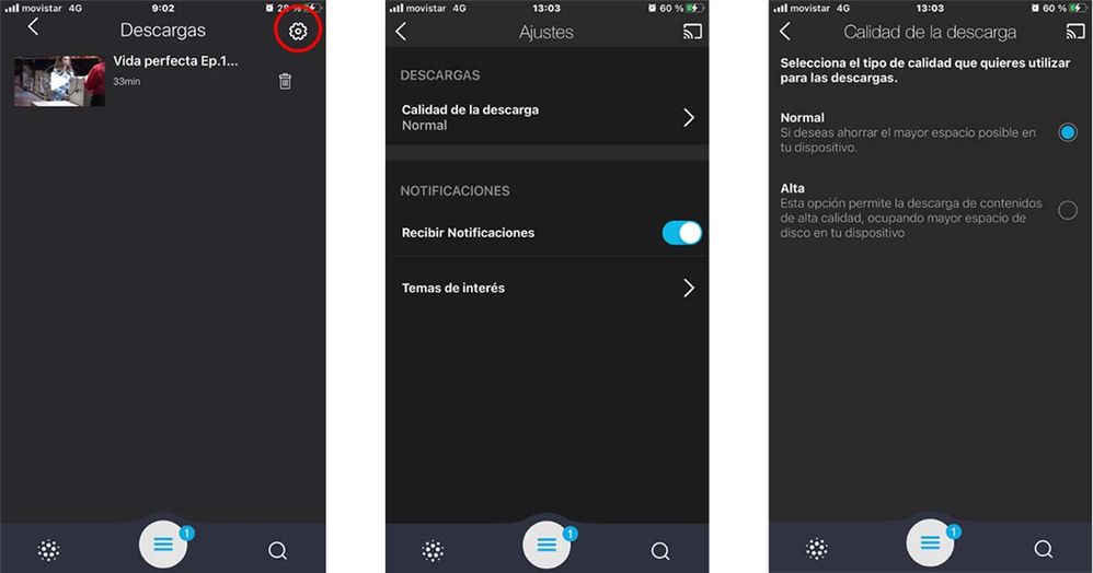 Calidad - Ver sin conexion.jpg