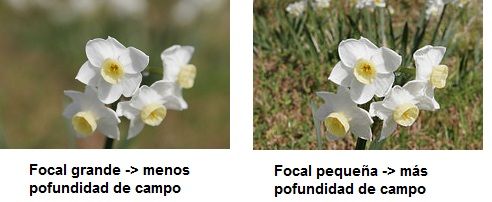 Focal movisfera movistar