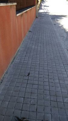 WhatsApp Image 2017-03-09 at 13.56.05.jpeg