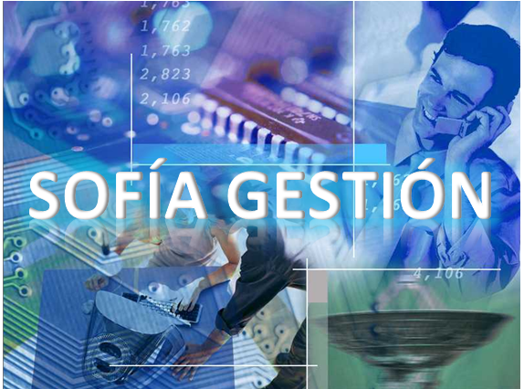 Sofía Gestión.PNG