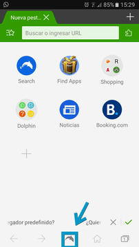 Dolphin Browser.png
