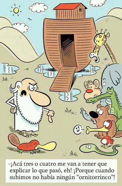 origen del ornitorrinco.jpg