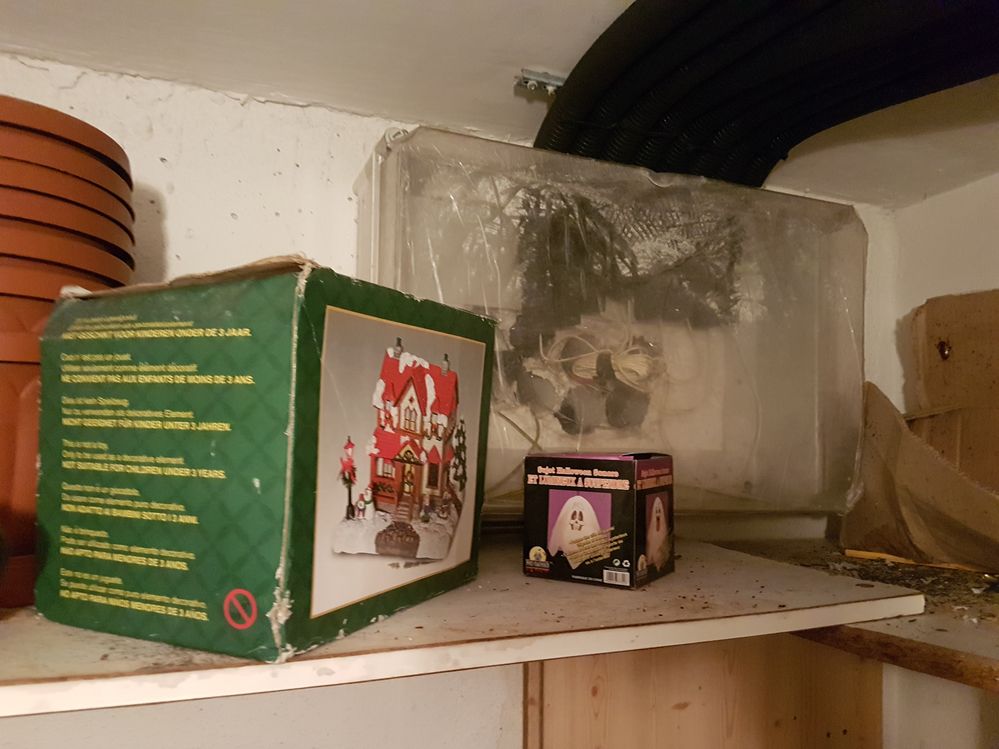 20170727_202351.jpg