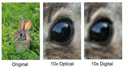 digital_zoom_vs_optical_zoom.jpg