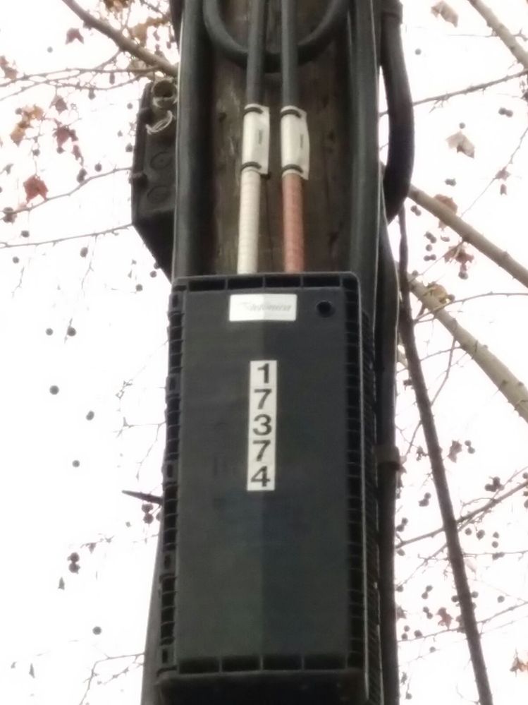 WhatsApp Image 2018-01-25 at 16.55.31.jpeg