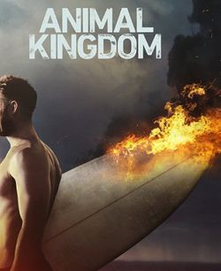 ANIMAL KINGDOM Movistar+.jpg
