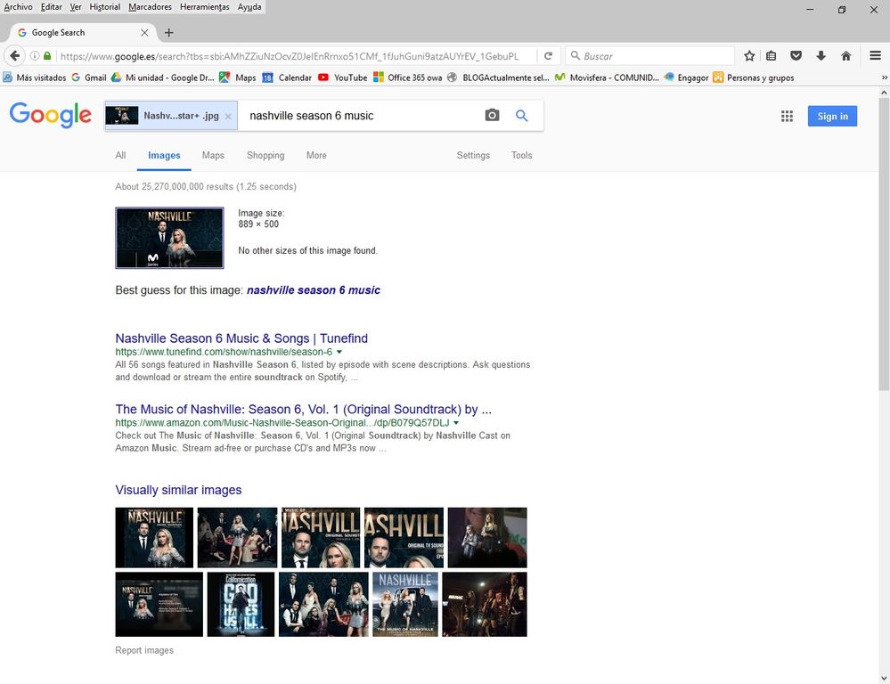 Resulatado busqueda Google.jpg