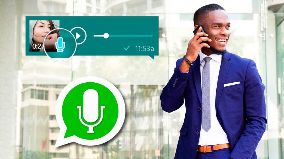 WhatsApp Audio de manera privada.jpg