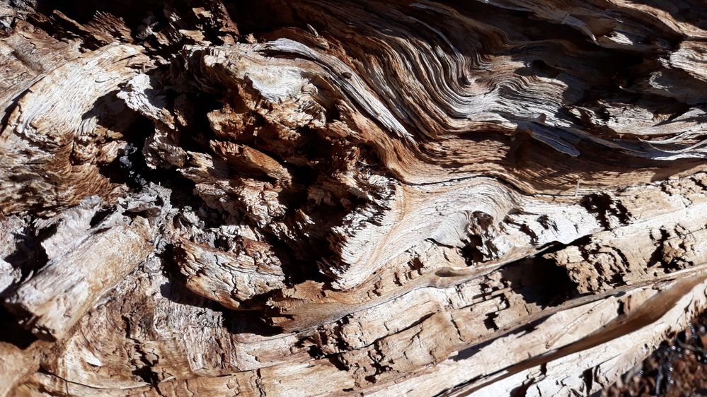 20190208_143054 - copia.jpg