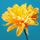Avatar de Mireia96!!