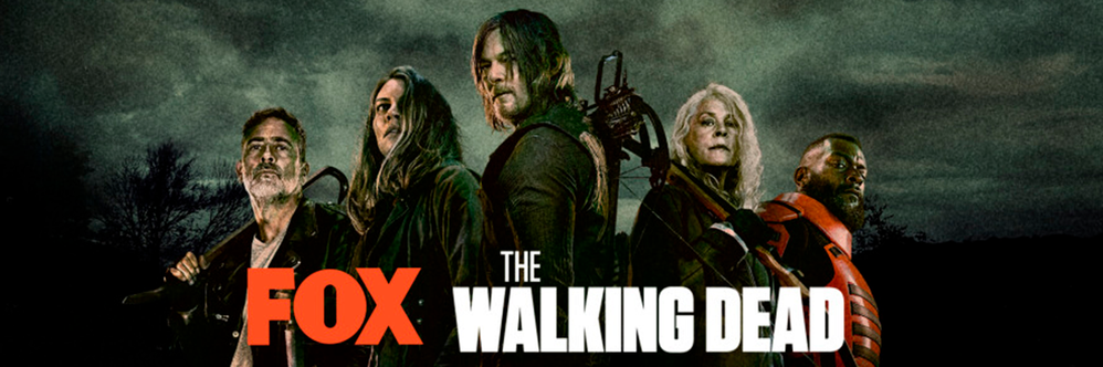 Serie - The Walking Dead T11.png Serie - The Walking Dead T11.png