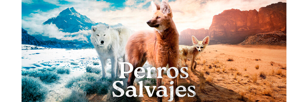 Perros Salvajes.png Perros Salvajes.png